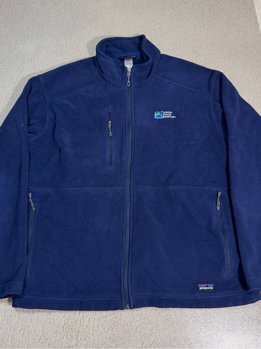 Patagonia Synchilla Company Embroidery Full Zip Fleece Size XL Blue Jacket Gorp
